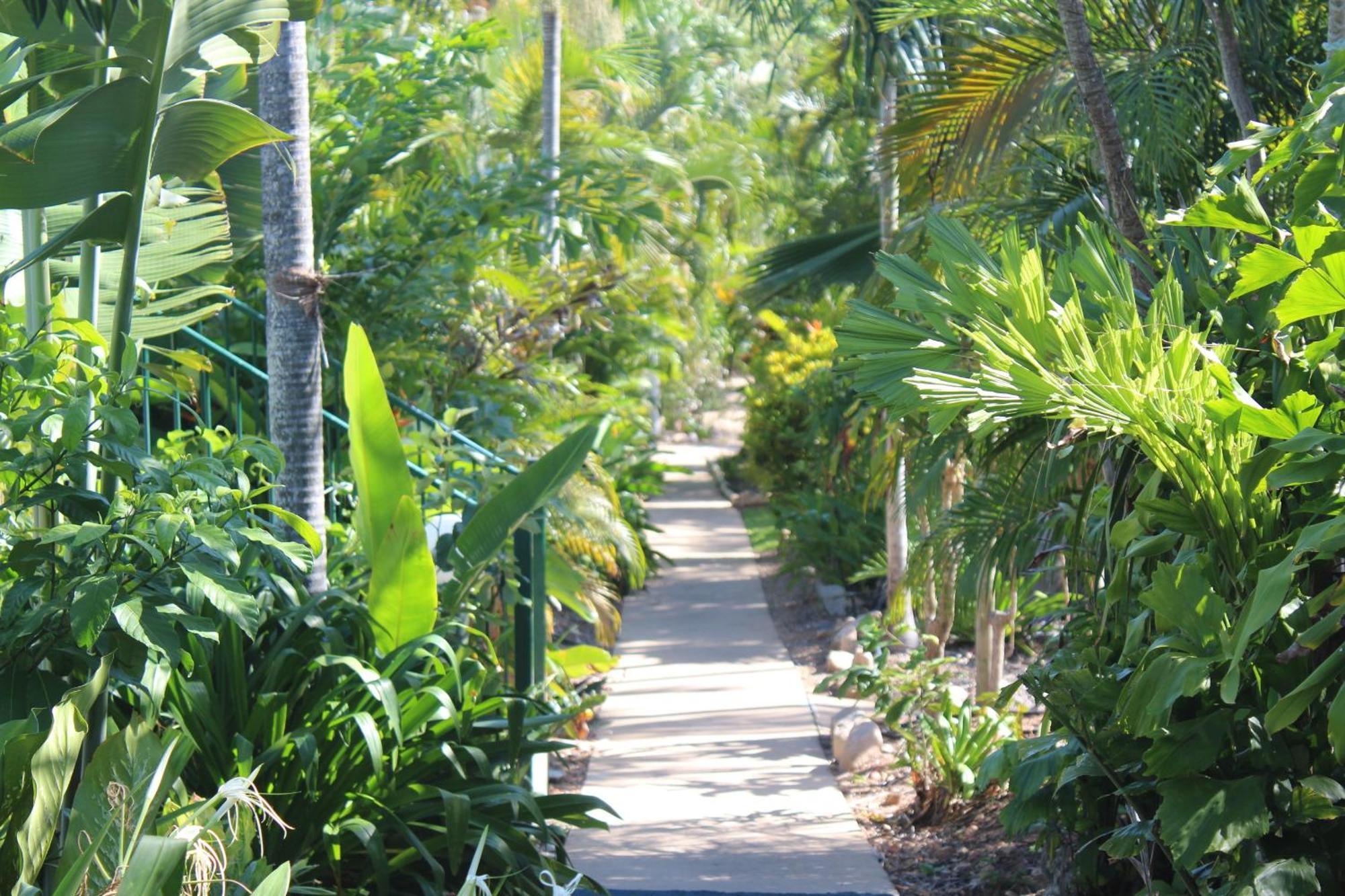 Hotel Amaroo On Mandalay, Magnetic Island Nelly Bay Esterno foto